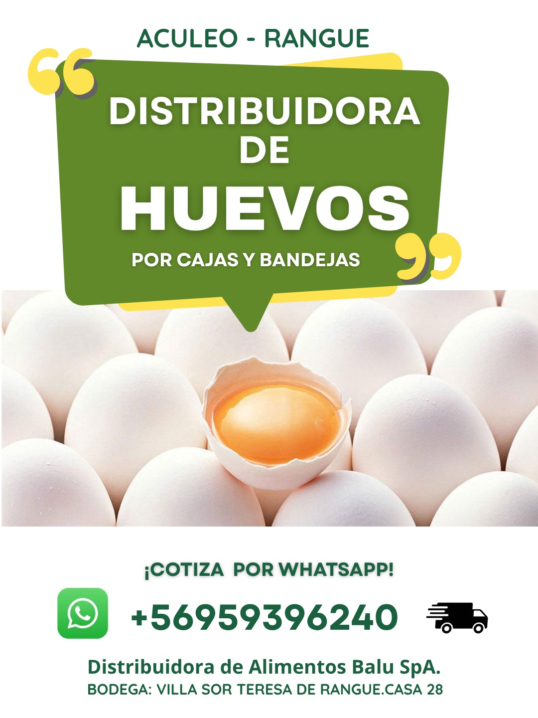Distribuidora de Alimentos Balu SpA