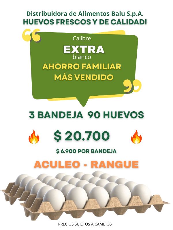 Extra Blanco X90 huevos