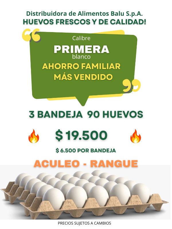 Huevos Primera X90 Huevos